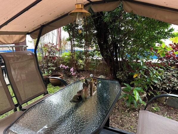 Outdoor dining