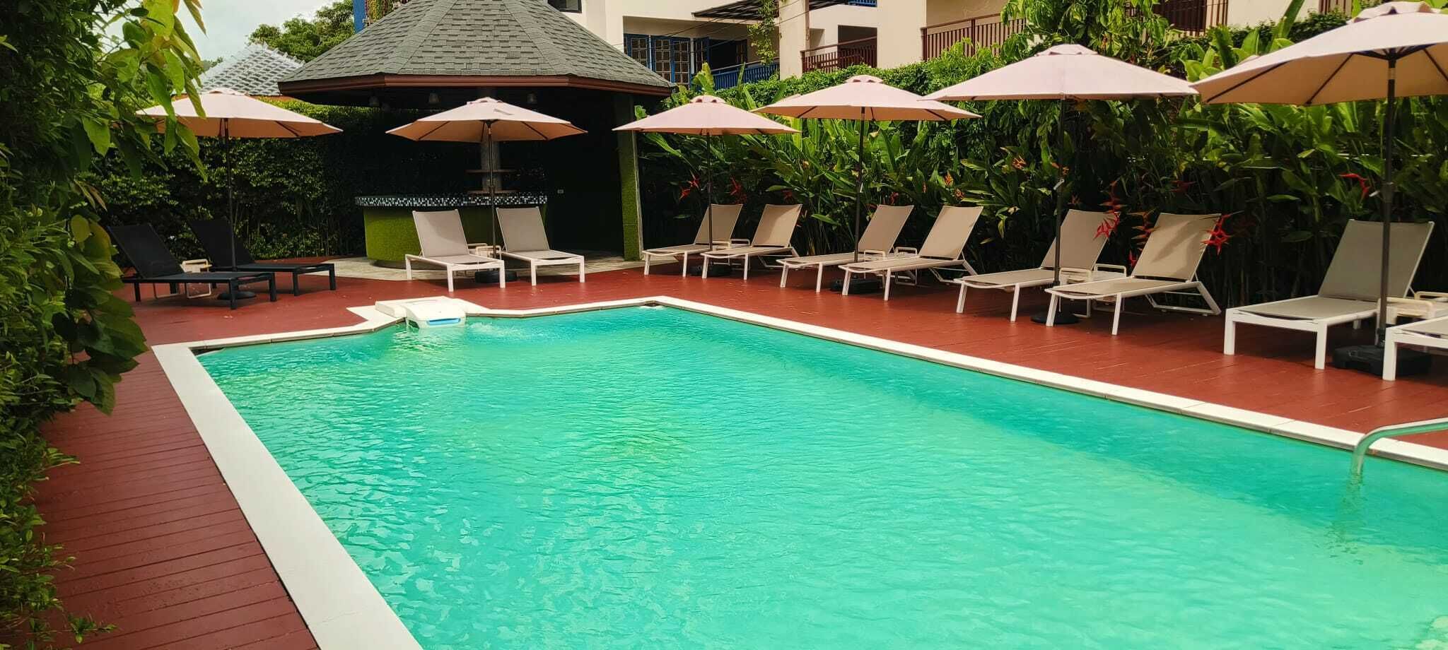 A swimming pool with lounge chairs and umbrellas, surrounded by greenery.