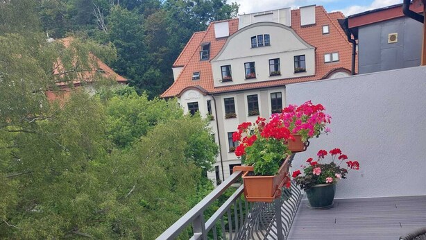 Een balkon met pot geraniums, een metalen hekwerk en uitzicht op een gebouw met een rood dak.