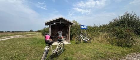 Jardines del alojamiento