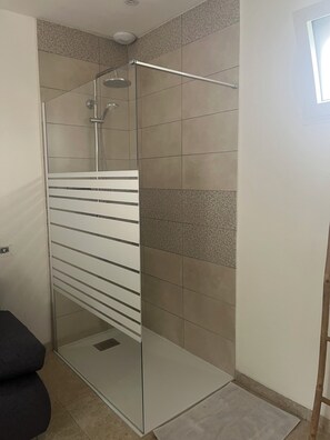 Shower, hair dryer, soap, toilet paper