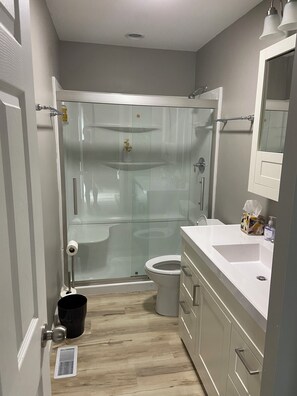 A bathroom with a glass-enclosed shower, a toilet, a sink, and a mirror. - Soothing home in Adams County Wisconsin (Adams)