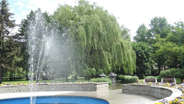 Une fontaine entourée d’une bordure circulaire en pierre et de parterres de fleurs aux couleurs vives.