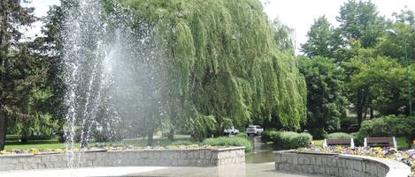 Casa | Vista desde la propiedad