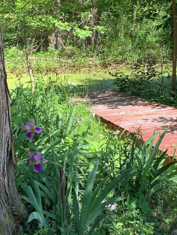 المنطقة المحيطة بالمنشأة