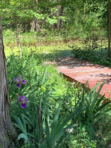 Pet friendly Charming Lake-Access 2-bedroom Cottage with channel pier, fenced