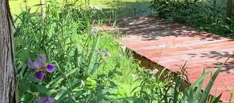 Pet friendly Charming Lake-Access 2-bedroom Cottage with channel pier, fenced