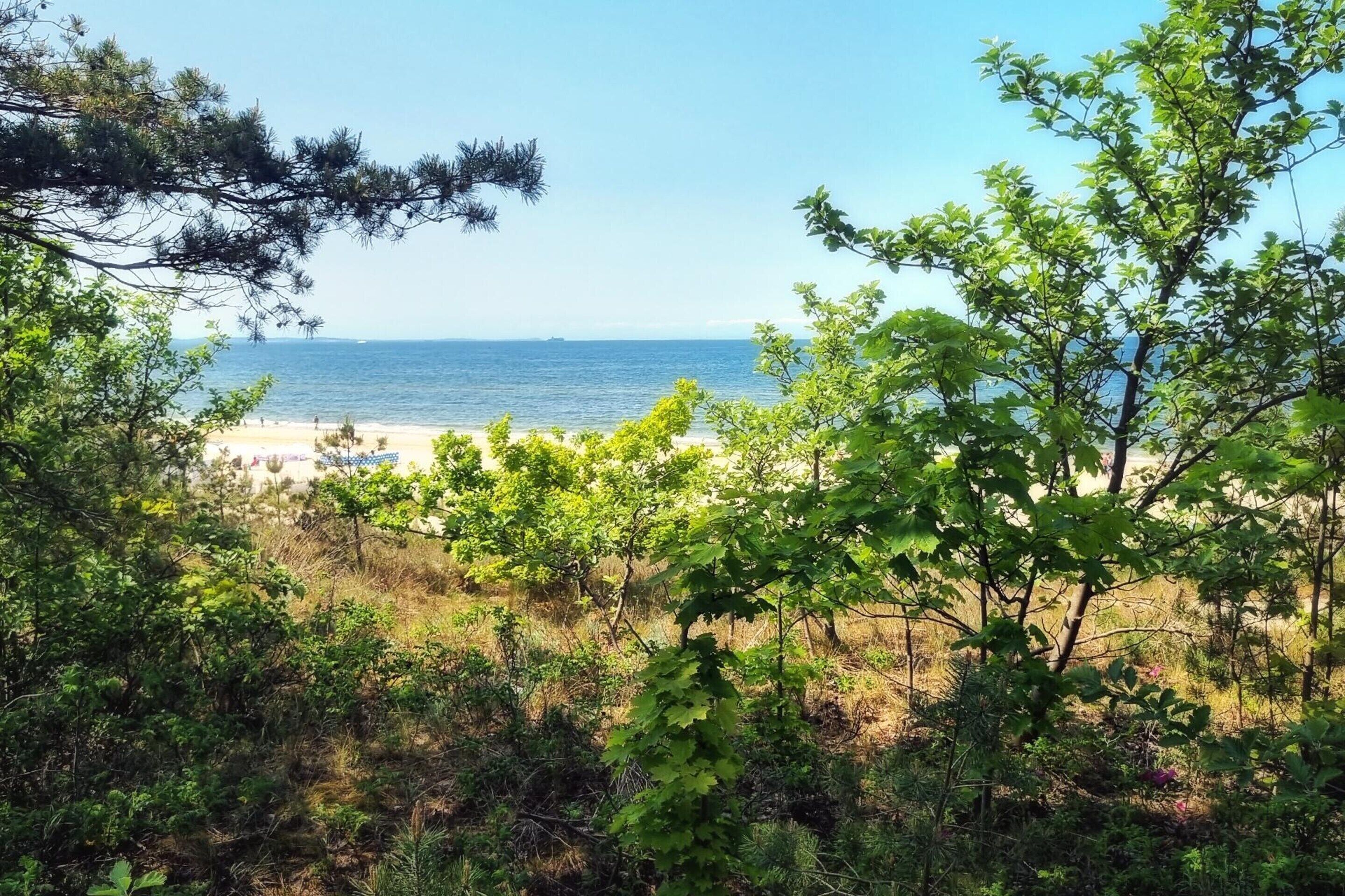 Leilighet | Utsikt fra overnattingsstedet