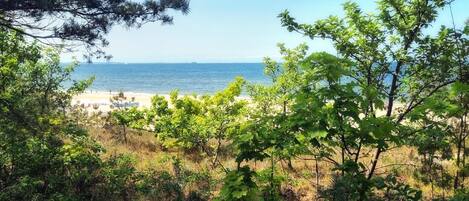 アパートメント | 施設からの眺望