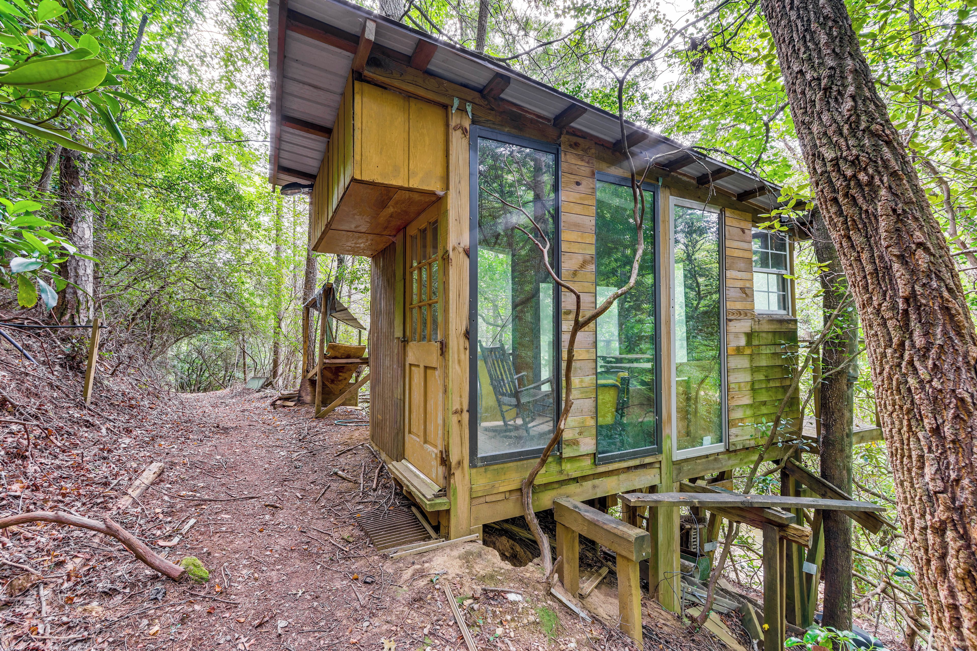Eine Holzhütte mit großen Fenstern, umgeben von Bäumen und einem Feldweg.