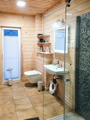 Shower, hair dryer, towels, soap
