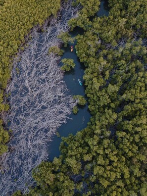 Aerial view - Casa Blue Laguna II Tropical Scape – Sun, Sea & Magical Bioluminescent Nights! (Fajardo)