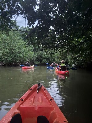 Miscellaneous - Casa Blue Laguna II Tropical Scape – Sun, Sea & Magical Bioluminescent Nights! (Fajardo)