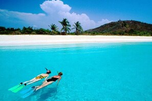 Deux personnes font de la plongée avec tuba dans une eau cristalline et bleue, avec une plage de sable et des palmiers en arrière-plan.