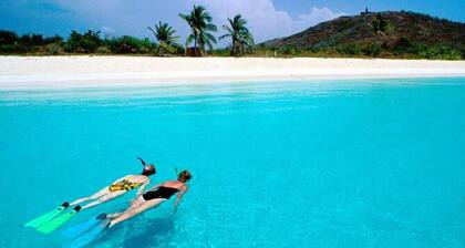Casa Blue Laguna I |Tropical Scape with Ocean View at Steps of Bioluminescent Bay I Laguna Grande