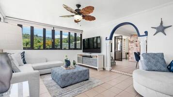 Smart TV, books, stereo