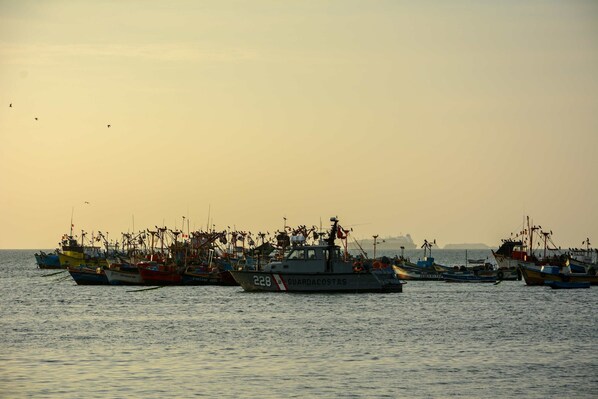 Un port où de nombreux bateaux de pêche sont amarrés, dont un qui se distingue particulièrement par les inscriptions « 228 » et « GUARDACOSTAS » peintes sur sa coque.