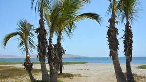 A beach with palm trees and a clear view of the ocean. - w Modern 5BR With Private Pool in Paracas (Paracas)
