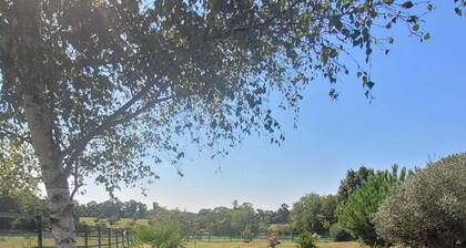 Beautiful vacation home sleeps 8, spacious. 12 min from the beaches