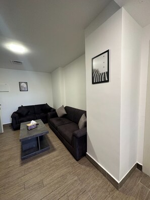Apartment, 1 Bedroom, Accessible, Smoking | Living room