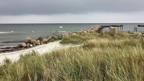 Un sentier côtier bordé d’un muret en pierre, avec des zones herbeuses et une vue sur la mer.