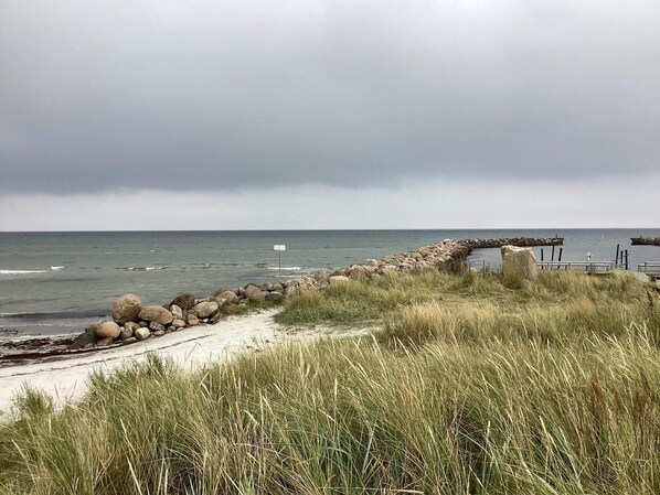House | Beach