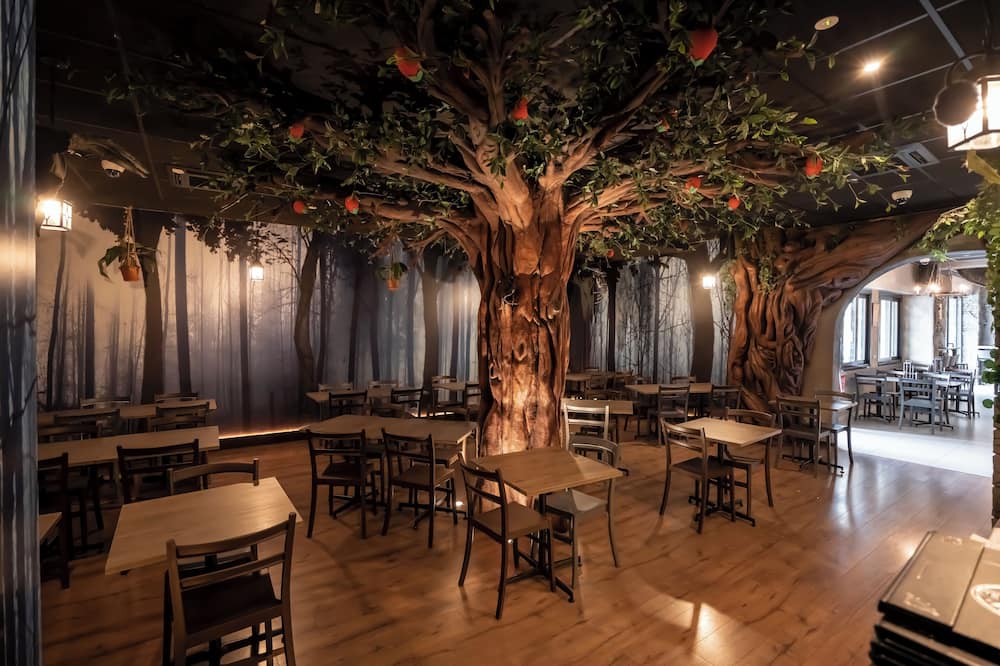 Binario Magic Hotel