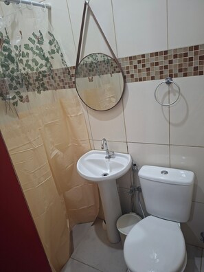 Shower, hair dryer, towels, toilet paper - Flower of the Amazon COP 30 (Belém)