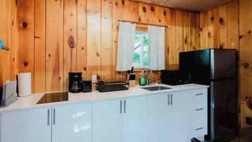 Fridge, microwave, stovetop, electric kettle