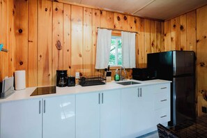 Fridge, microwave, stovetop, electric kettle