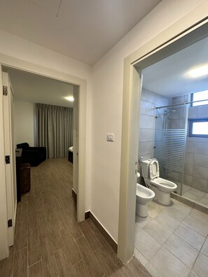 Appartement, 1 chambre, accessible aux personnes à mobilité réduite, fumeur | Salle de bain