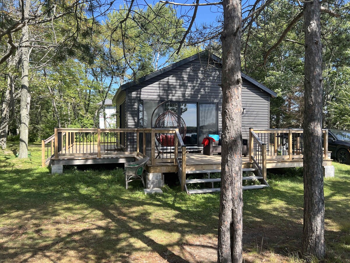 Imagen de perfil del propietario o de la propietaria