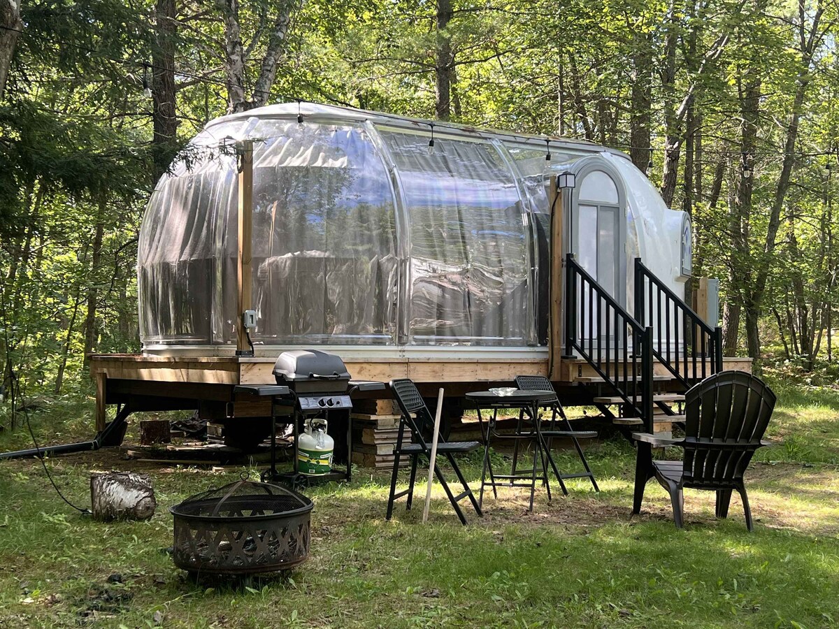 Værtens profilbillede