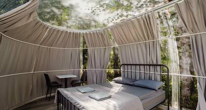 Studio Capsule Sand Bay #16