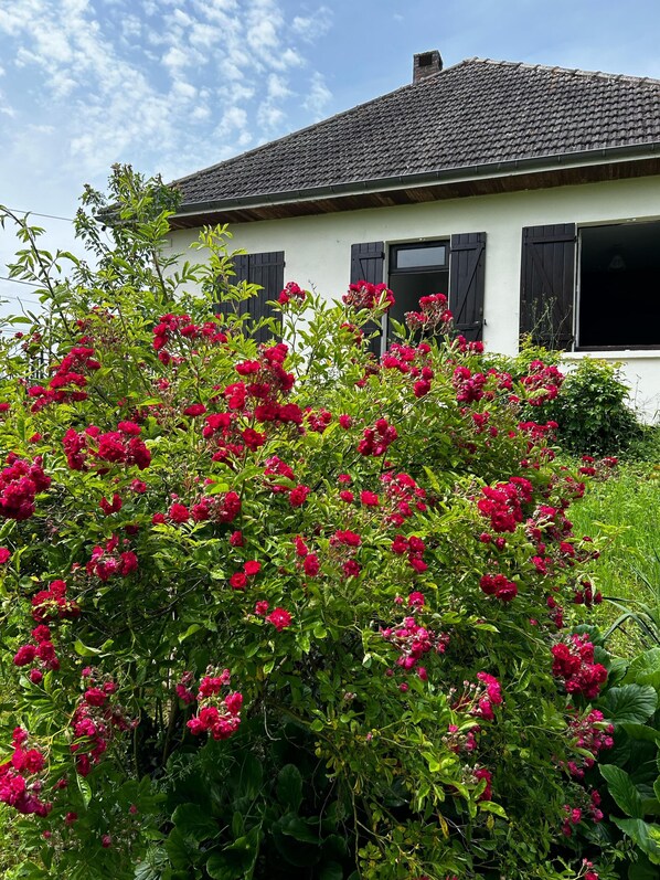 Détail de l’extérieur