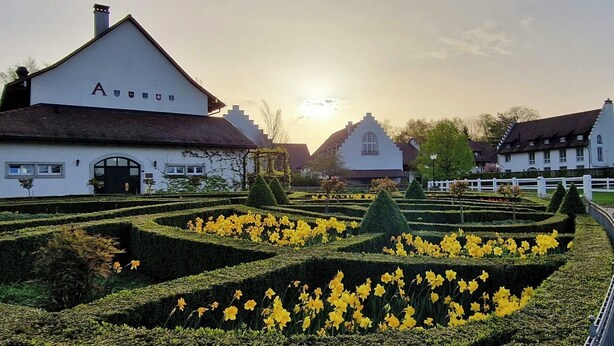 Un jardín formal con setos geométricos y flores amarillas, rodeado de edificios blancos tradicionales de estilo arquitectónico clásico.