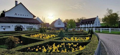 Hofgut Albführen - Hotel & Restaurant
