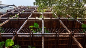 Eine mehrstöckige Holzkonstruktion mit Metallgeländern, umgeben von üppiger Vegetation.