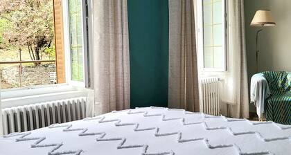 Large suite with access to living room, terrace, garden - Thiers center, train station