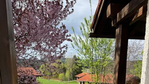 A balcony with a view of a house, a lawn, and trees. - Apartment Blueberry Pool Sauna Netflix WIFI (Zwiesel)