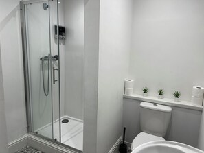Shower, hair dryer, soap, toilet paper