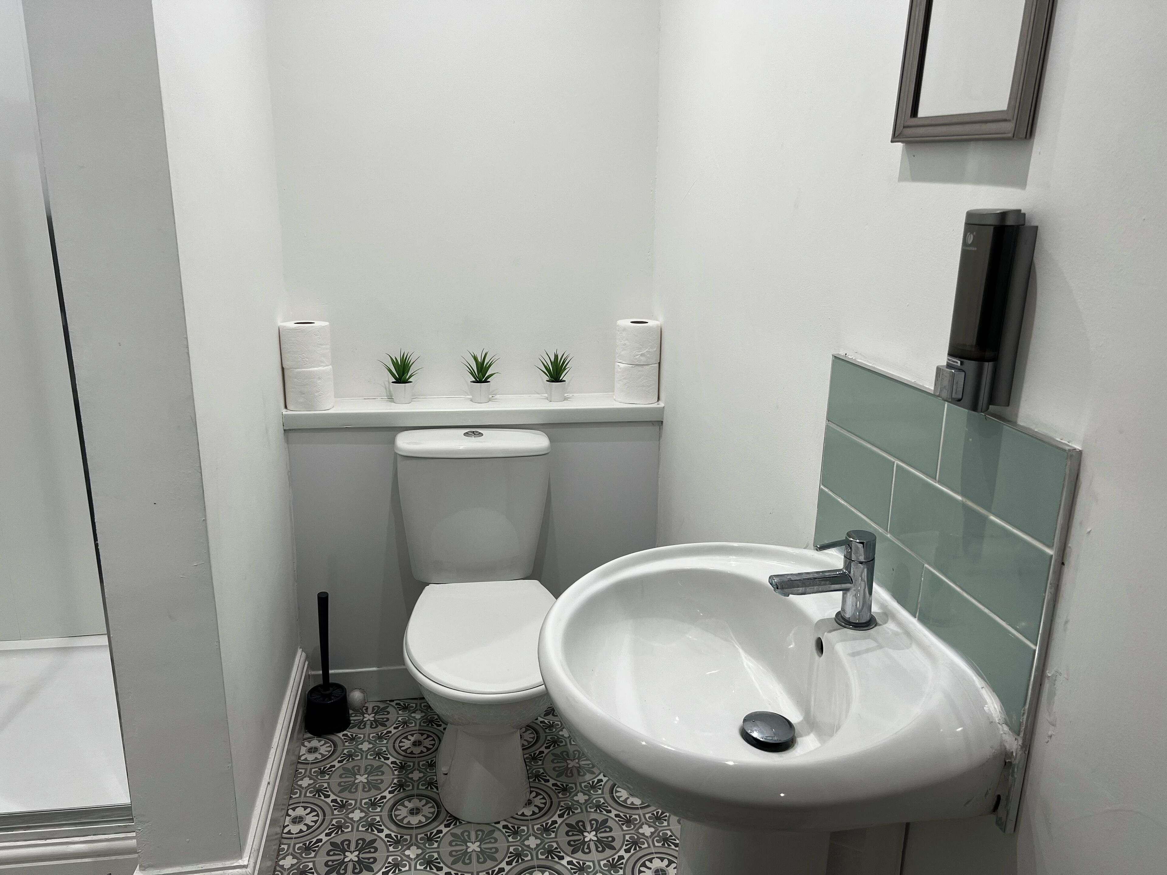 Un baño pequeño con inodoro, lavamanos y estante con tres plantas pequeñas en macetas.