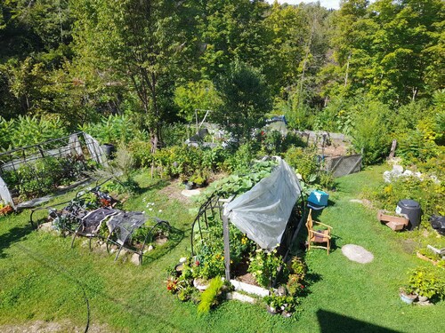 Duhamel Treetop Cottage