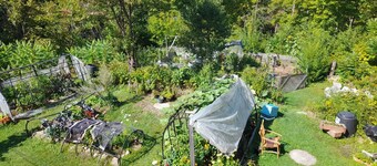 Duhamel Treetop Cottage