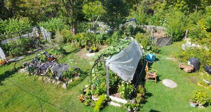 Duhamel Treetop Cottage