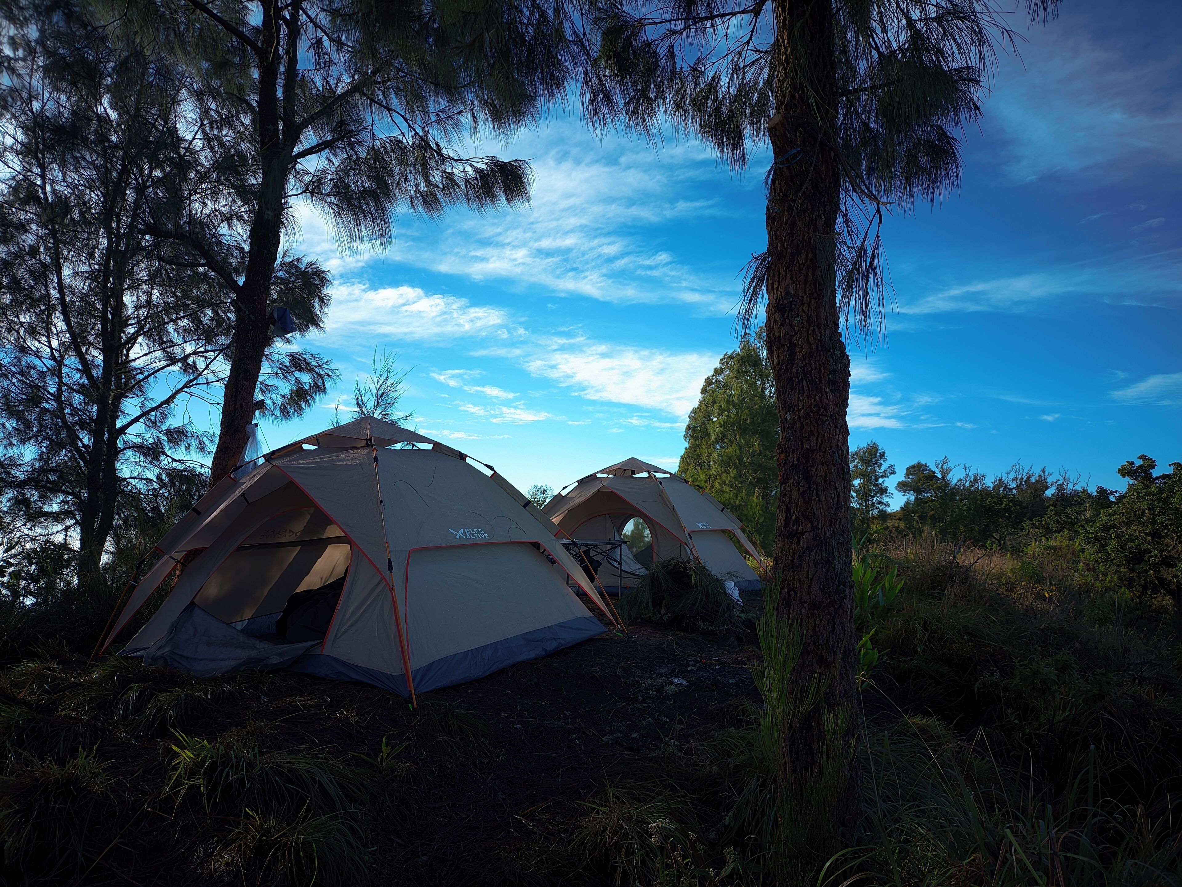 Two dome-shaped tents set up in a forested area with trees and a clear sky.