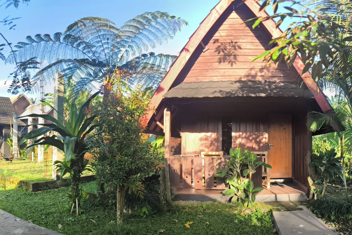 Une maison en bois, avec un toit de chaume, entourée d’une végétation luxuriante et surplombée d’un ciel bleu azur.