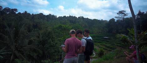 A group of people standing on a dirt path in a lush, green forested area with a clear sky.
