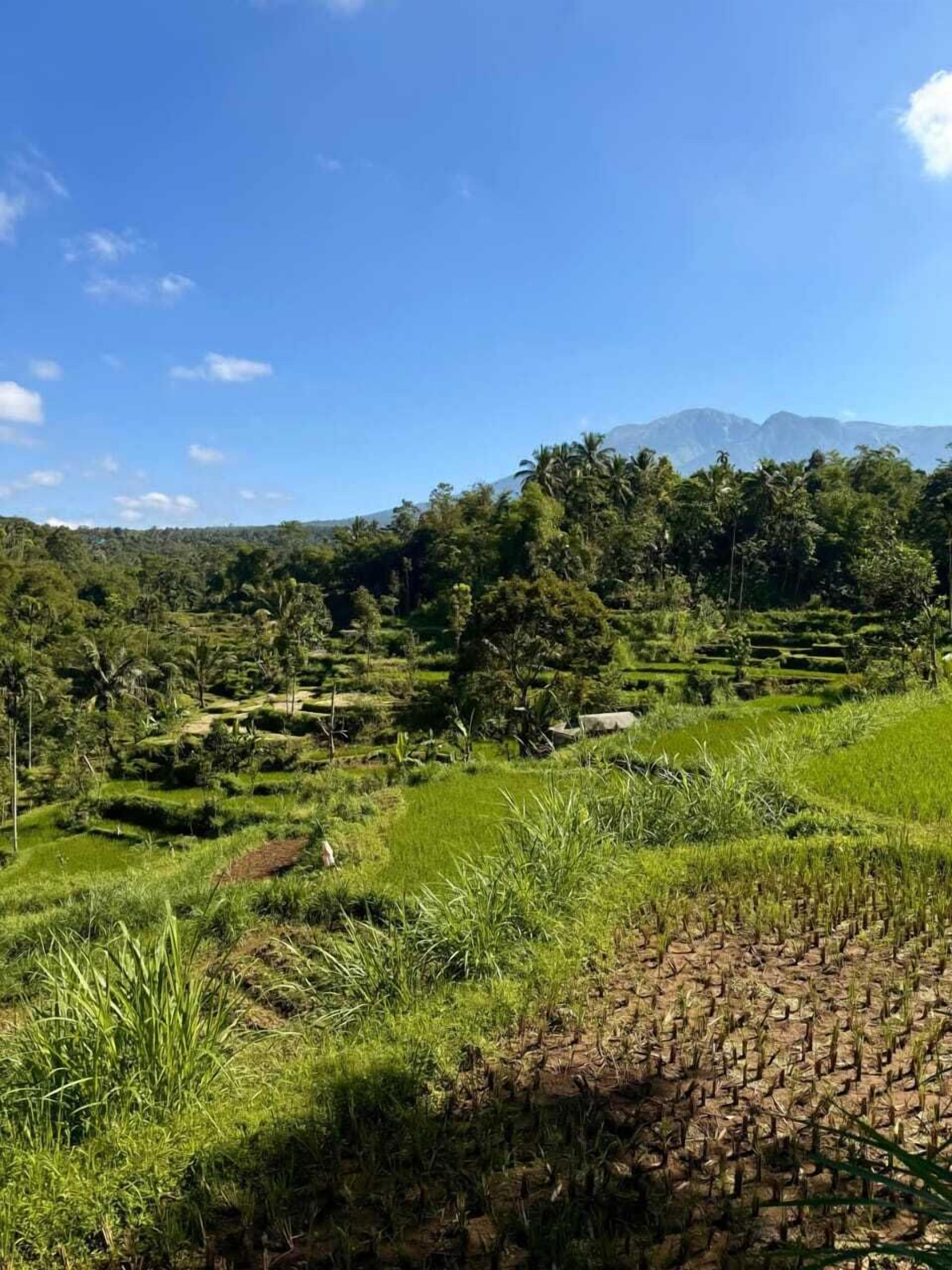 Kembara
