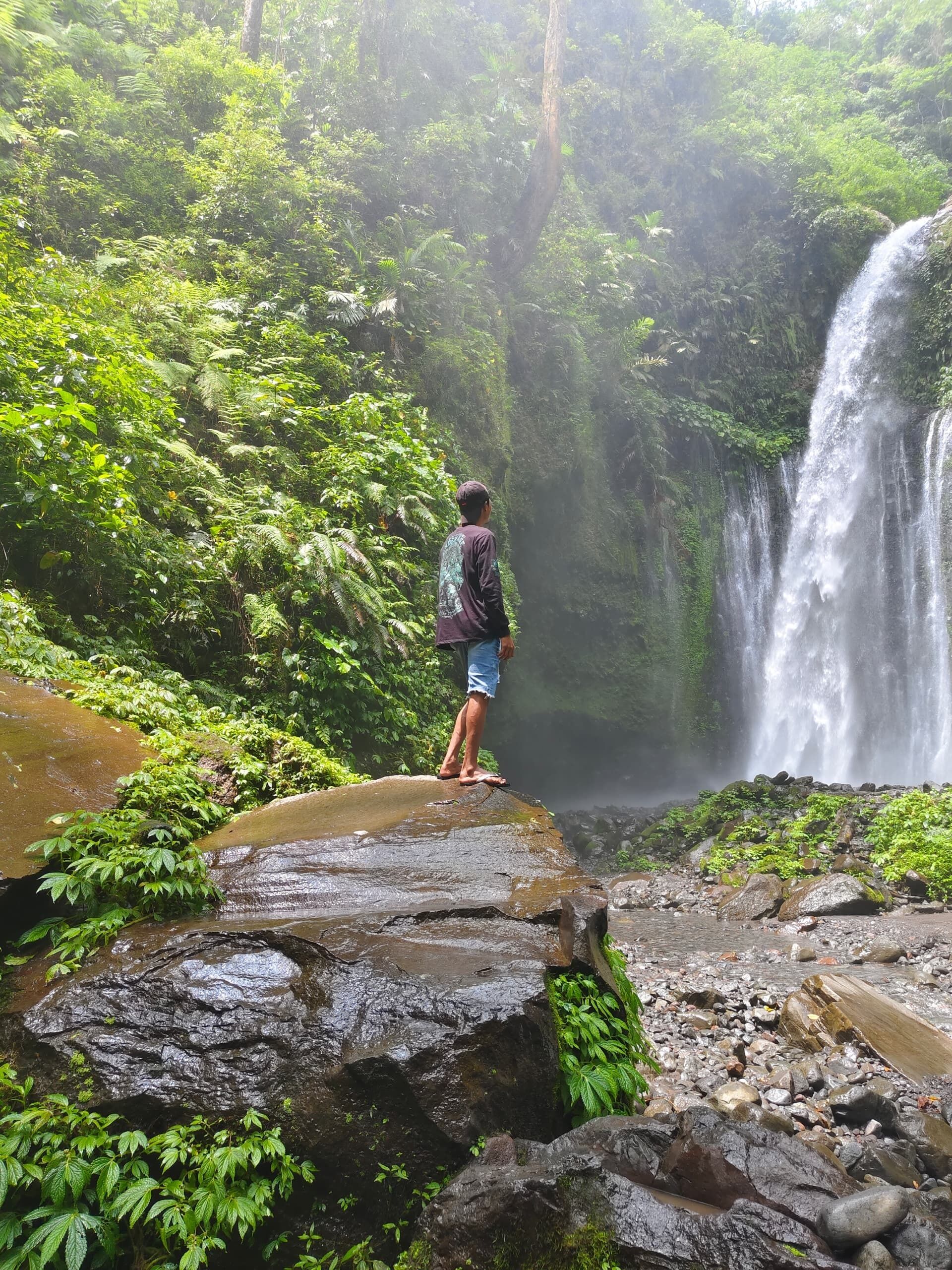 A person standing on a rock by a waterfall surrounded by lush greenery.